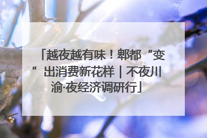 越夜越有味！郫都“变”出消费新花样｜不夜川渝·夜经济调研行