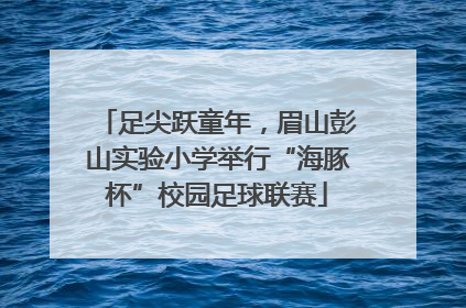 足尖跃童年，眉山彭山实验小学举行“海豚杯”校园足球联赛