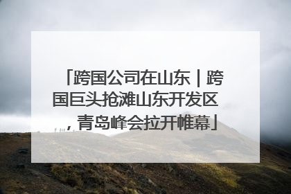 跨国公司在山东｜跨国巨头抢滩山东开发区，青岛峰会拉开帷幕