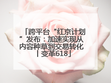 跨平台“红京计划”发布：加速实现从内容种草到交易转化丨变革618