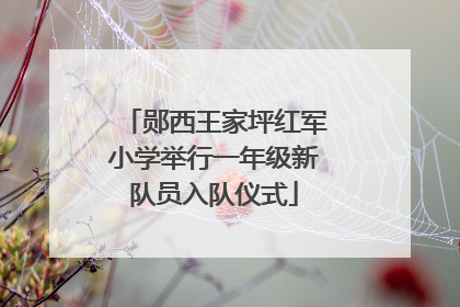 郧西王家坪红军小学举行一年级新队员入队仪式