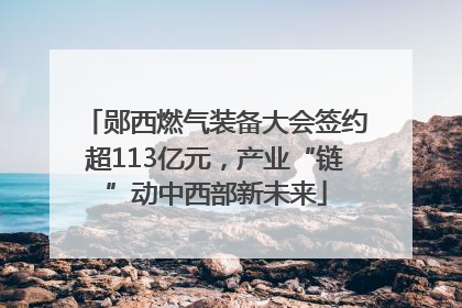 郧西燃气装备大会签约超113亿元，产业“链”动中西部新未来