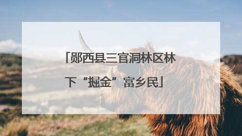郧西县三官洞林区林下“掘金”富乡民