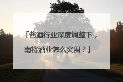酱酒行业深度调整下，南将酒业怎么突围？