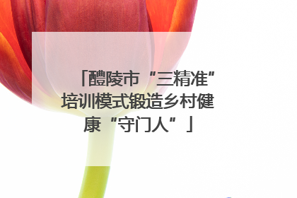 醴陵市“三精准”培训模式锻造乡村健康“守门人”