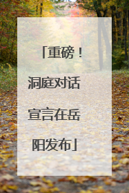 重磅！洞庭对话宣言在岳阳发布