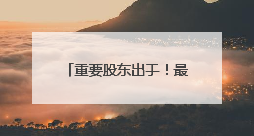 重要股东出手！最高增持超29亿元