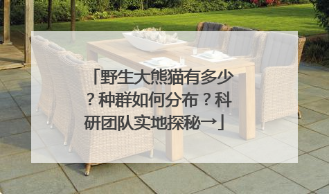 野生大熊猫有多少？种群如何分布？科研团队实地探秘→