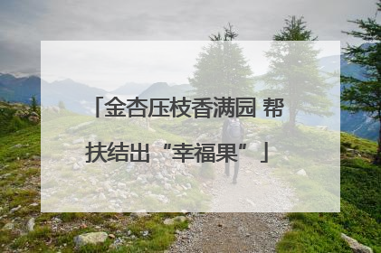 金杏压枝香满园 帮扶结出“幸福果”
