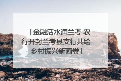 金融活水润兰考 农行开封兰考县支行共绘乡村振兴新画卷