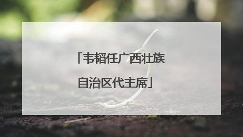 韦韬任广西壮族自治区代主席