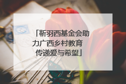 靳羽西基金会助力广西乡村教育 传递爱与希望