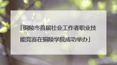 铜陵市首届社会工作者职业技能竞赛在铜陵学院成功举办
