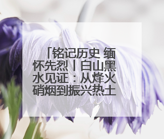 铭记历史 缅怀先烈丨白山黑水见证：从烽火硝烟到振兴热土的巨变