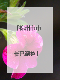 锦州市市长已调整