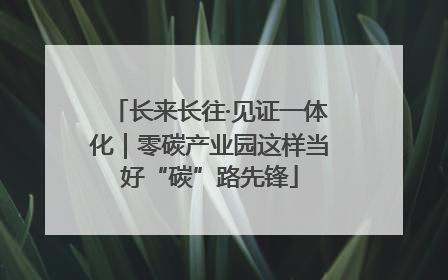 长来长往·见证一体化｜零碳产业园这样当好“碳”路先锋