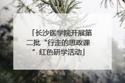 长沙医学院开展第二批“行走的思政课”红色研学活动