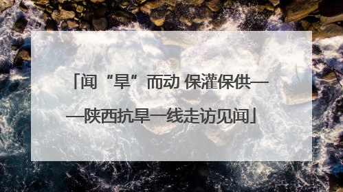 闻“旱”而动 保灌保供——陕西抗旱一线走访见闻