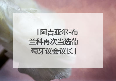 阿吉亚尔-布兰科再次当选葡萄牙议会议长