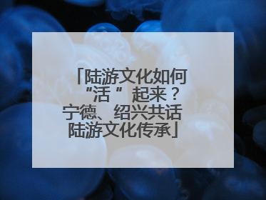 陆游文化如何“活 ”起来？宁德、绍兴共话陆游文化传承