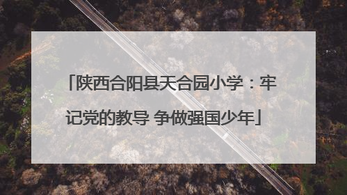 陕西合阳县天合园小学：牢记党的教导 争做强国少年