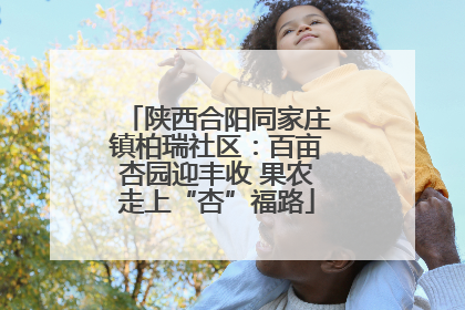 陕西合阳同家庄镇柏瑞社区：百亩杏园迎丰收 果农走上“杏”福路
