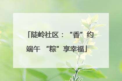 陡岭社区：“香”约端午 “粽”享幸福