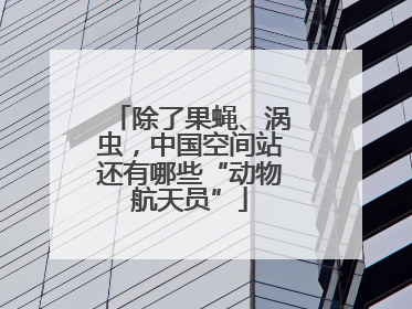 除了果蝇、涡虫，中国空间站还有哪些“动物航天员”
