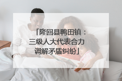 隆回县鸭田镇：三级人大代表合力调解矛盾纠纷