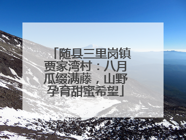 随县三里岗镇贾家湾村：八月瓜缀满藤，山野孕育甜蜜希望