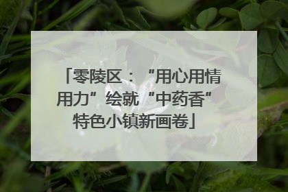 零陵区：“用心用情用力”绘就“中药香”特色小镇新画卷
