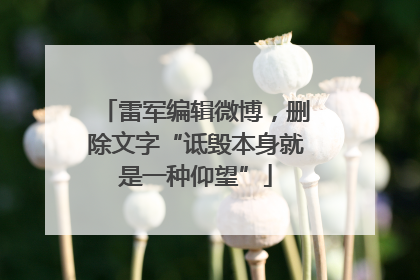 雷军编辑微博，删除文字“诋毁本身就是一种仰望”