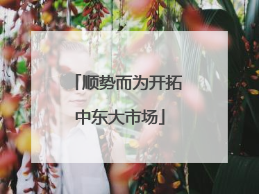顺势而为开拓中东大市场