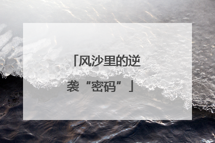 风沙里的逆袭“密码”