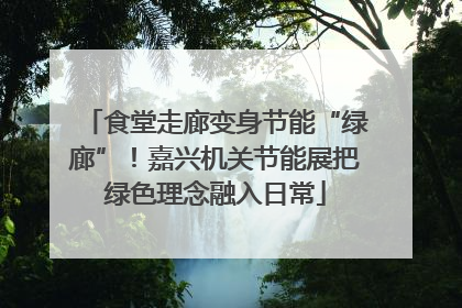 食堂走廊变身节能“绿廊”！嘉兴机关节能展把绿色理念融入日常
