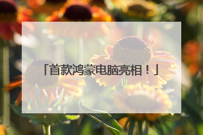 首款鸿蒙电脑亮相！