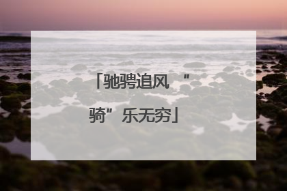 驰骋追风 “骑”乐无穷