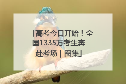 高考今日开始！全国1335万考生奔赴考场｜图集