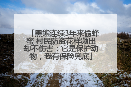 黑熊连续3年来偷蜂蜜 村民防盗花样频出却不伤害：它是保护动物，我有保险兜底