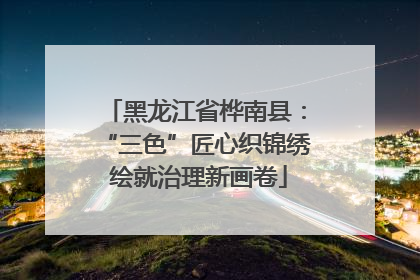 黑龙江省桦南县：“三色”匠心织锦绣 绘就治理新画卷