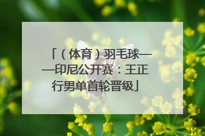 （体育）羽毛球——印尼公开赛：王正行男单首轮晋级