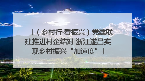 （乡村行·看振兴）党建联建推进村企结对 浙江遂昌实现乡村振兴“加速度”