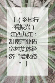 （乡村行·看振兴）江西九江：甜蜜产业拓宽村集体经济“增收路”