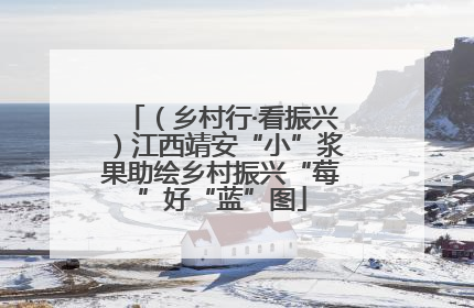 （乡村行·看振兴）江西靖安“小”浆果助绘乡村振兴“莓”好“蓝”图