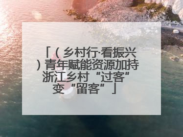 （乡村行·看振兴）青年赋能资源加持 浙江乡村“过客”变“留客”