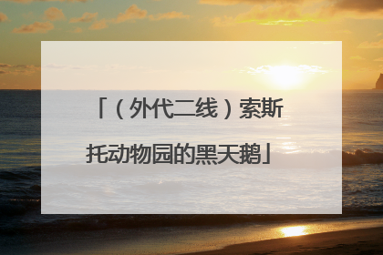 （外代二线）索斯托动物园的黑天鹅