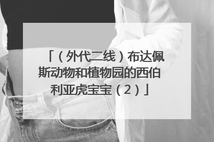 （外代二线）布达佩斯动物和植物园的西伯利亚虎宝宝（2）