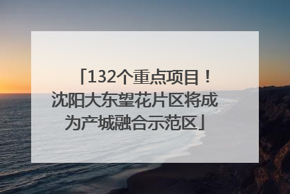 132个重点项目！沈阳大东望花片区将成为产城融合示范区