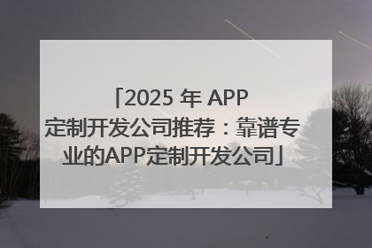 2025 年 APP 定制开发公司推荐：靠谱专业的APP定制开发公司
