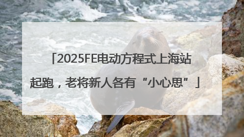 2025FE电动方程式上海站起跑，老将新人各有“小心思”